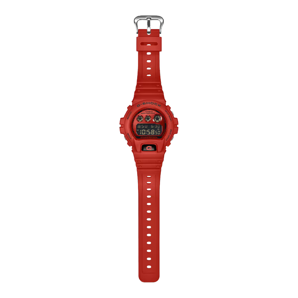CASIO G-SHOCK DW-6900RRB-4